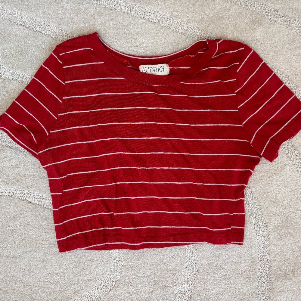 Audrey 3+1 Crop Top